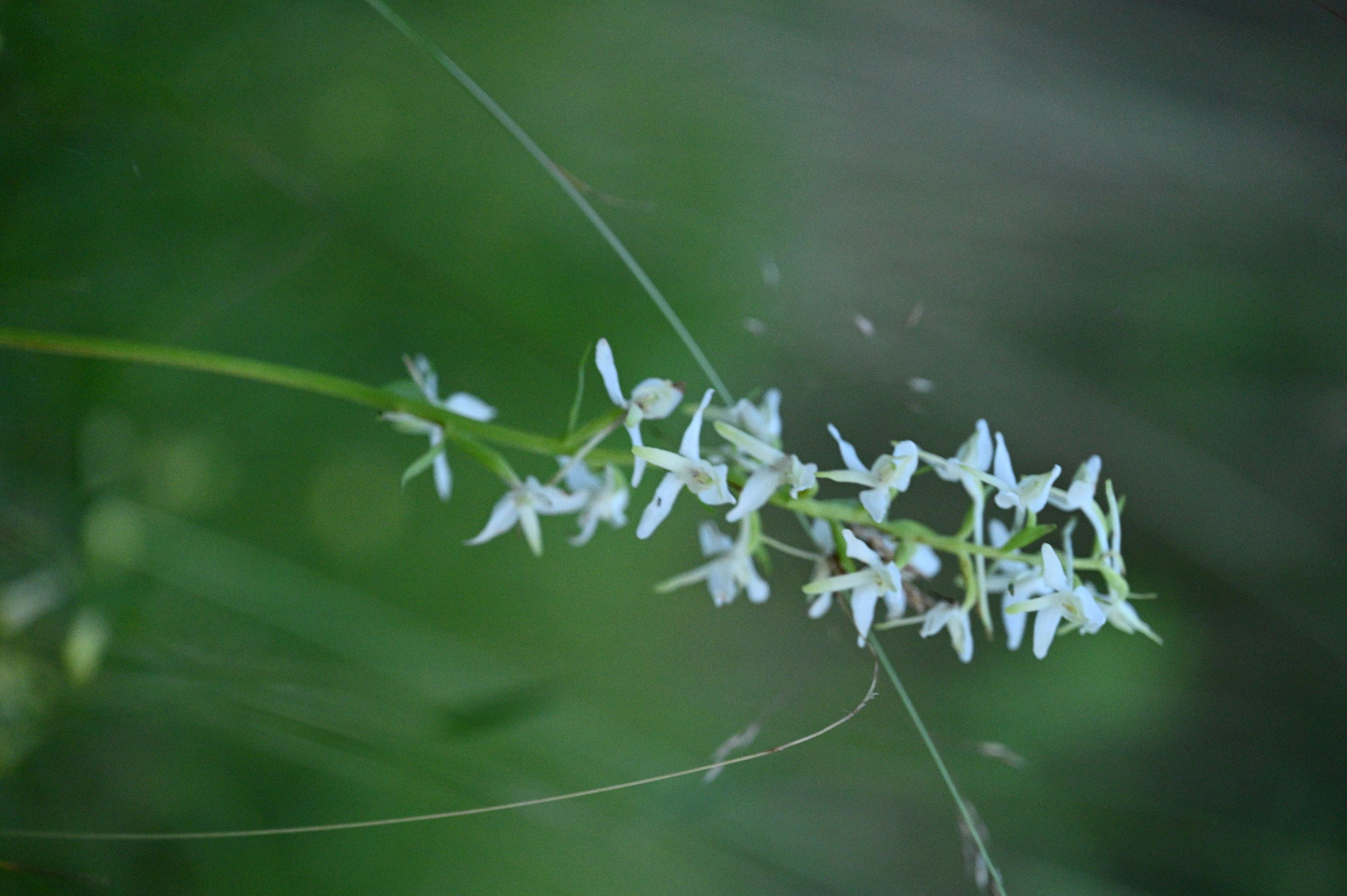 2025/07/09-14 - trip/DSC_0648.JPG